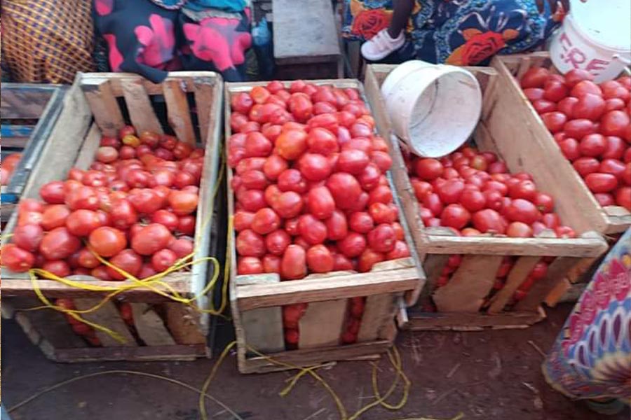 Malawi’s Forex Crisis Deepens as Import Bans Fail to Stem Drain