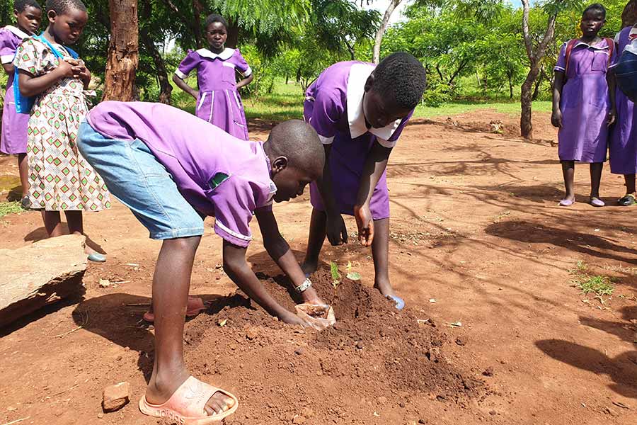 Pupils Take Climate Fight to Classroom as Lilongwe Replants Its Forests