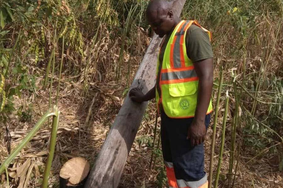 Malawi’s Power Under Siege