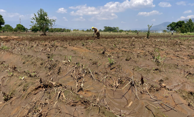 MET Predicts Continued Dry Spell in Malawi