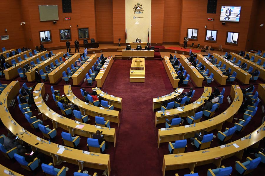 Parliament Urged to Allow Chichewa in Debates to Boost Inclusivity
