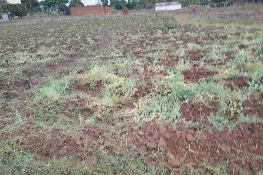 When Rains Fail, Children and Women Pay the Price