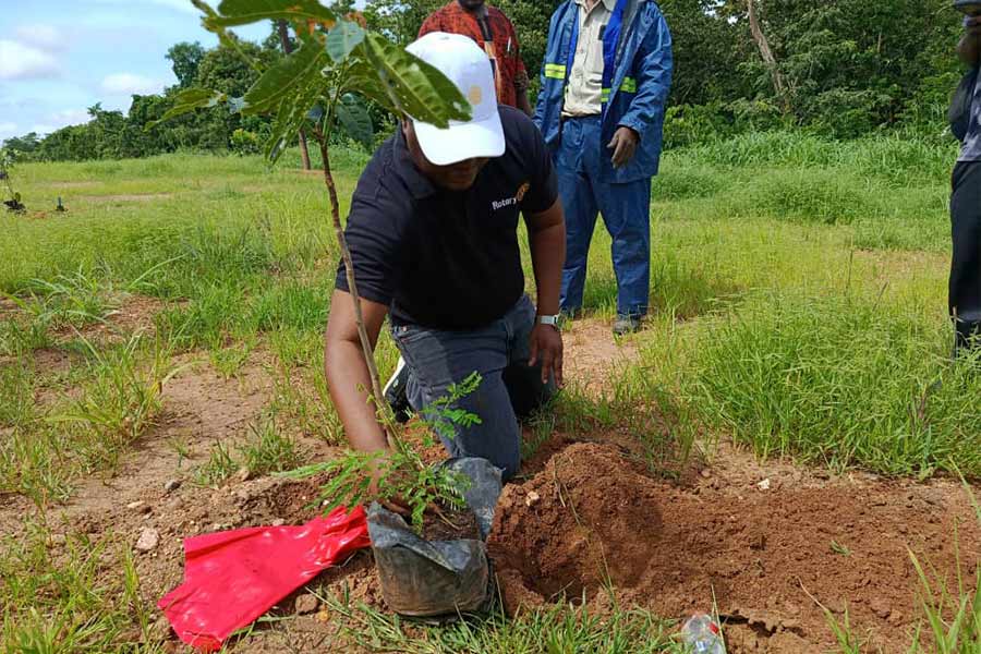Rotary Club of Lilongwe Plants 200 Mbawa Trees Along Saulos Chilima Highway